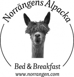 Holiday letting Norrngens Alpacka - Bed and Breakfast