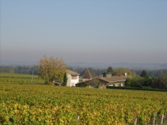 Location Vacances Au milieu des vignes Bordeaux Peyraguey Maison Rouge