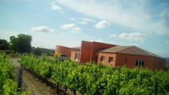 Ferienwohnung O'Vineyards B&B Carcassonne