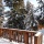 Holiday letting Chalet le Trappeur